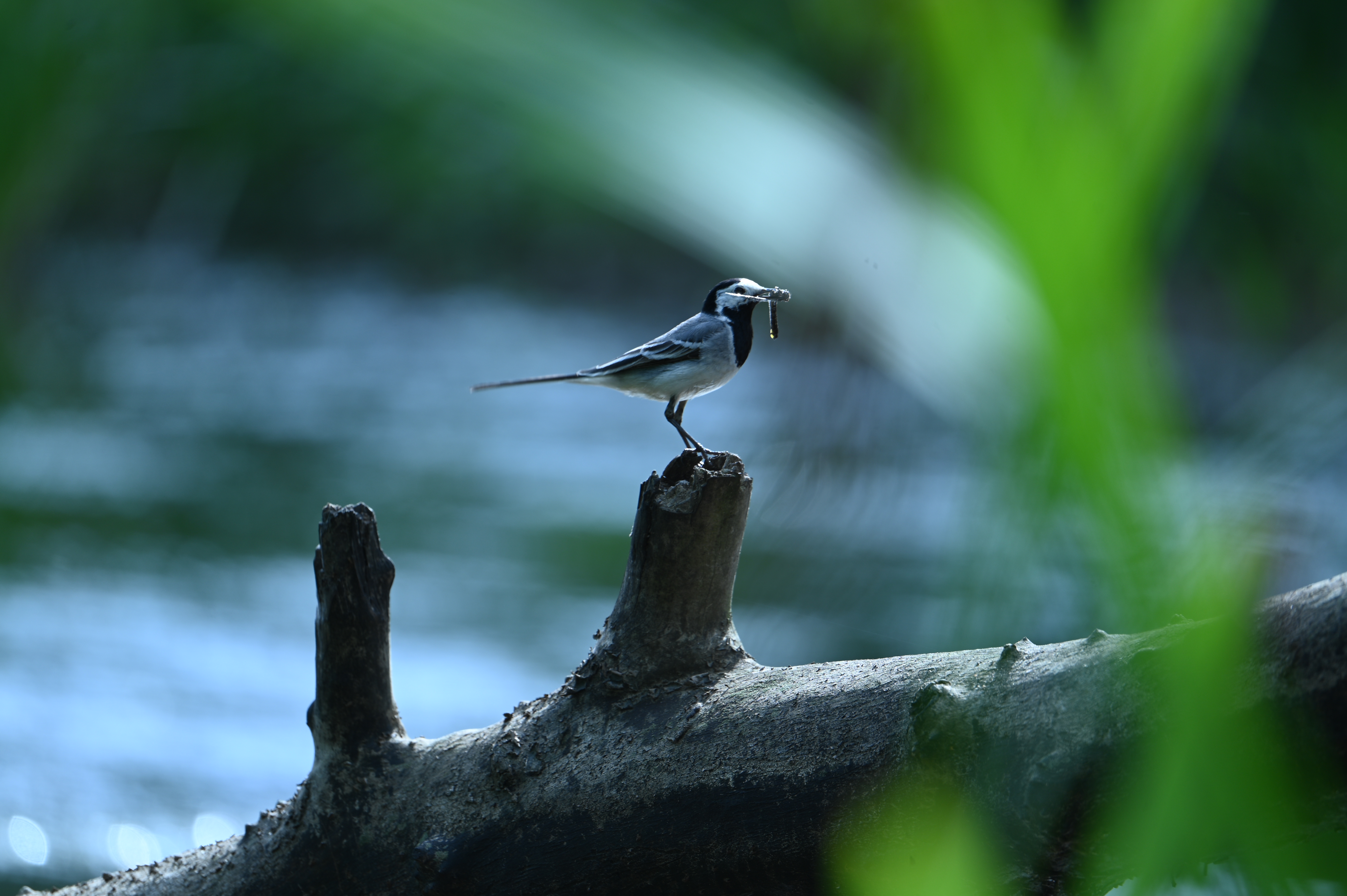 2025/07/09-14 - trip/DSC_0467.JPG